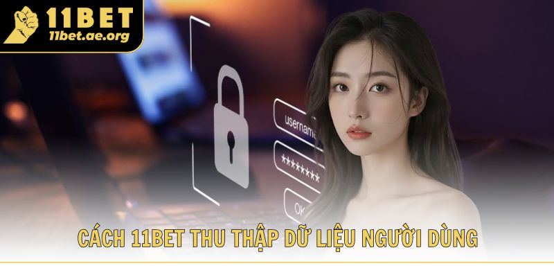 Cách 11bet thu thập dữ liệu người dùng bảo mật nhiều tầng