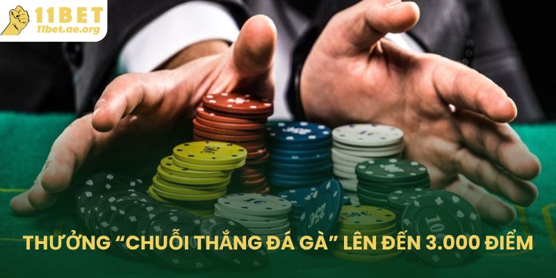 Thưởng “chuỗi thắng đá gà” lên đến 3.000 điểm